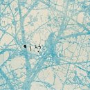 자양세탁소 이미지