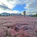 추석 연휴 끝자락, 그 화려한 외출! - 합천 신소양체육공원, 핫들생태공원, 의령 천수공원 꽃축제 둘러보기~ 이미지