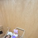 안녕경주 키즈풀빌라 펜션 이미지