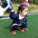 화봉제2공원 Daum카페
