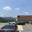 골프레슨 프로선택 골프자격증 종류 레슨비용 포도cc