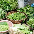 지에이치 자연건강 이미지