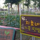 텃밭 수완점 NGTV