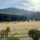 서서울승마클럽 이미지