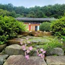 집현산 Daum카페