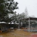 천지사우나 이미지