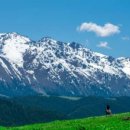 백양목장 이미지