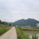 [국도21] 아산시 신흥리 - 2932 | [국도21] 아산시 신흥리