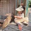 오마이주 | 오산 아기랑 가볼만한곳 오마이주 실내동물원 동물 먹이주기체험