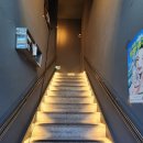 무영빌딩 | 대구 교동 숙성회 맛집 <무영> 후기