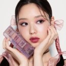 팔레트립 이미지