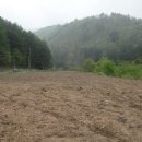 전원오토캠핑장 이미지