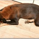 광탄한의원 이미지