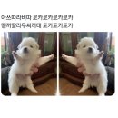 여유가 생기려면