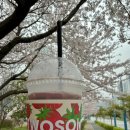 투썸플레이스목포 - 목포시 원산중앙로 7 | 목포 우베라떼 투썸 플레이스 우베라떼 우베카페라떼 후기