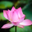 화모아한의원 이미지