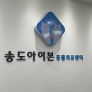 송도 아이본 동물의료센터 이미지