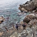 명성송이대게 이미지