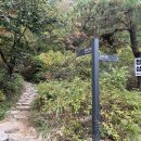 천보체육회 이미지