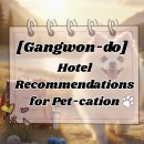 해뜨는창문 애견동반 오션뷰펜션 | 해뜨는창문 펜션 펫캉스 솔직 후기! 우리 댕댕이와 완변한 휴가