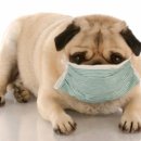 분당우리동물의료센터 이미지