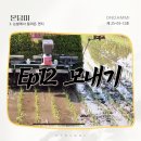 햇살온담 이미지