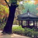 만천