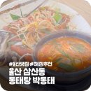 박동태 | 울산 삼산 해장 동태탕 맛집 박동태 내돈내산