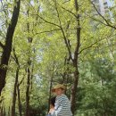 예성약국 - 강릉시 경강로 2160 | 예성약국