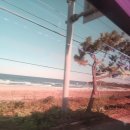 관동팔경 녹색경관길 | 해파랑길 50코스 고성통일전망대~제진검문소~통일안보공원, 2025/11/01(토)