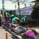 온양2동 중앙로 이미지