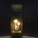 유민미술관 이미지