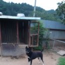 모노 (MONO) 이미지