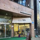 바로펫살롱 | 12살 노령견도 깔끔하게! 첨단애견미용 핫도그 펫살롱 솔직 후기