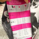 풍기동물병원 이미지