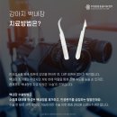 부평종합동물의료센터 이미지