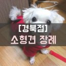 경산장례협동조합 이미지
