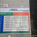 용인대 비전 태권도장 이미지