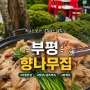 함봉로36번길 | 부평 맛집 향나무집, 한방누룽지백숙 묵은지 닭볶음탕 야장 후기