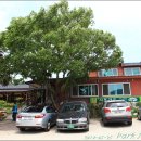 사또가든 이미지