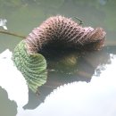 아차산~용마산 산행(25. 8.23) 이미지