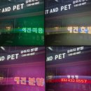 펫앤펫 네이버블로그