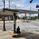 그늘막15 이미지