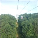 하이원콘도미니엄 이미지