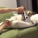 혼저옵서멍 | 23년 2월 한라산 후기(성판악->관음사)