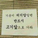 대가원 | 수원한우맛집 광교맛집 가족모임장소로 딱인 대가원 생등심 후기