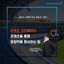새벽의축구전문가