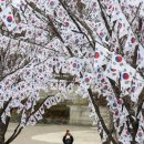 국적법 개정안 통과, 선천적 복수국적자 국적이탈 기간 연장… 이미지