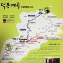 제463회 정기산행 [2025. 7. 19 ] 삼척 덕풍계곡 이미지