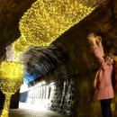 동양안경콘택트 이미지